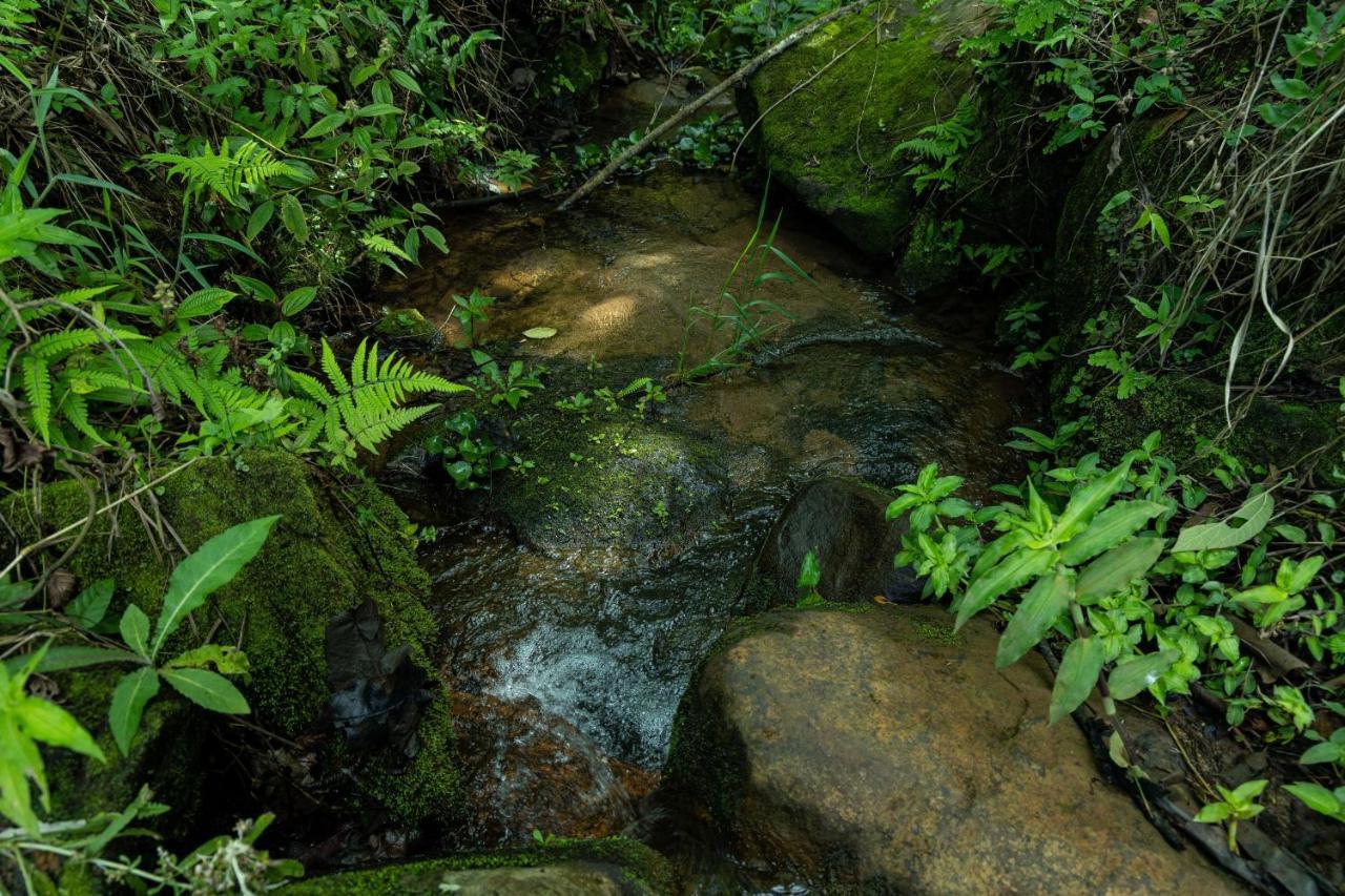 Pousada Terra dos Pássaros São Bento do Sapucaí Esterno foto