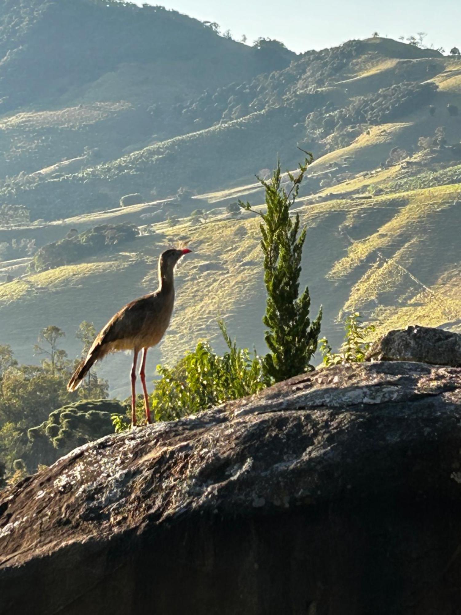 Pousada Terra dos Pássaros São Bento do Sapucaí Esterno foto